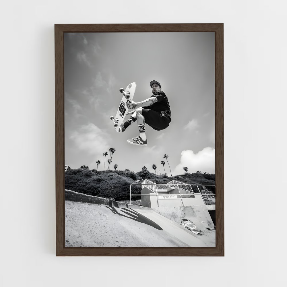 Poster Mike de vallely – affiche Skateboard (vue 5)